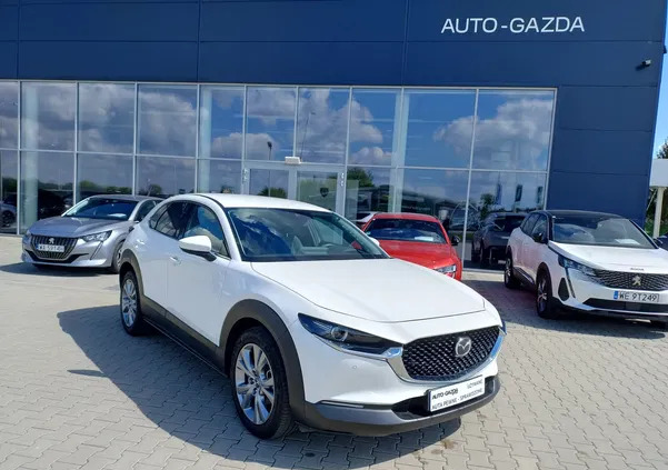 mazda Mazda CX-30 cena 127900 przebieg: 8862, rok produkcji 2022 z Szepietowo